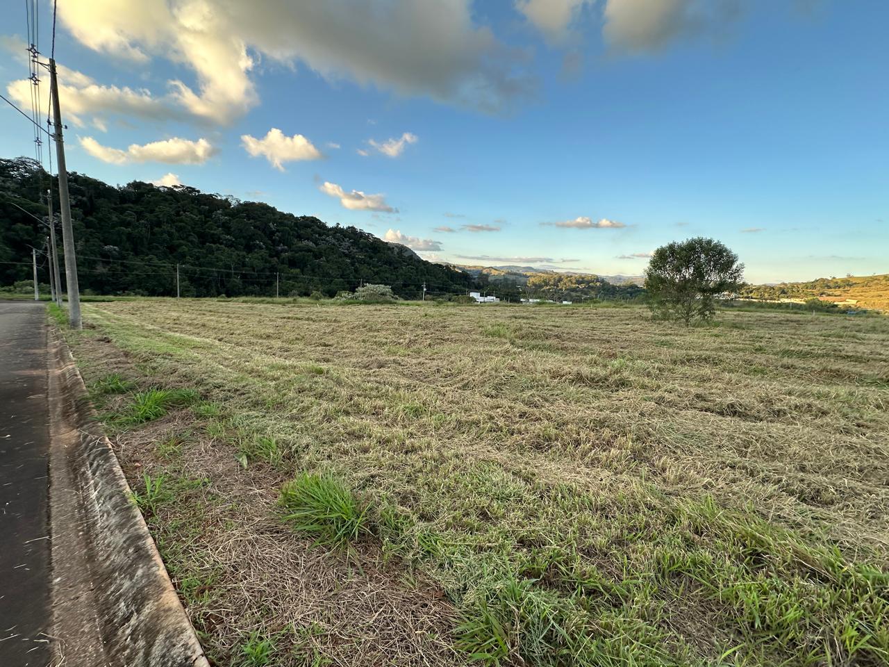 Terreno roçado com vista para as casas e morros ao fundo