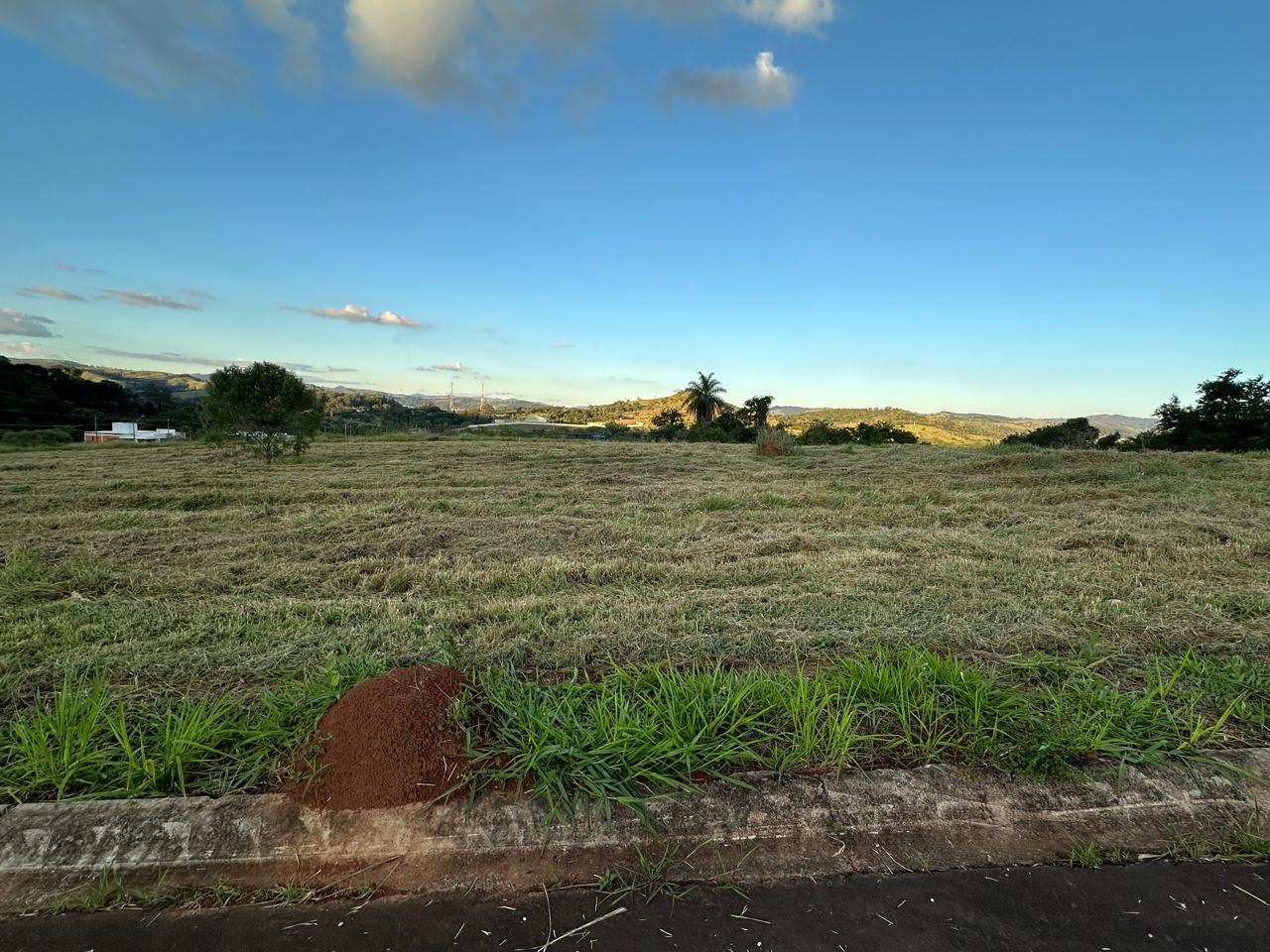 Lote com mato cortado ao longo da rua, com mata nativa ao fundo