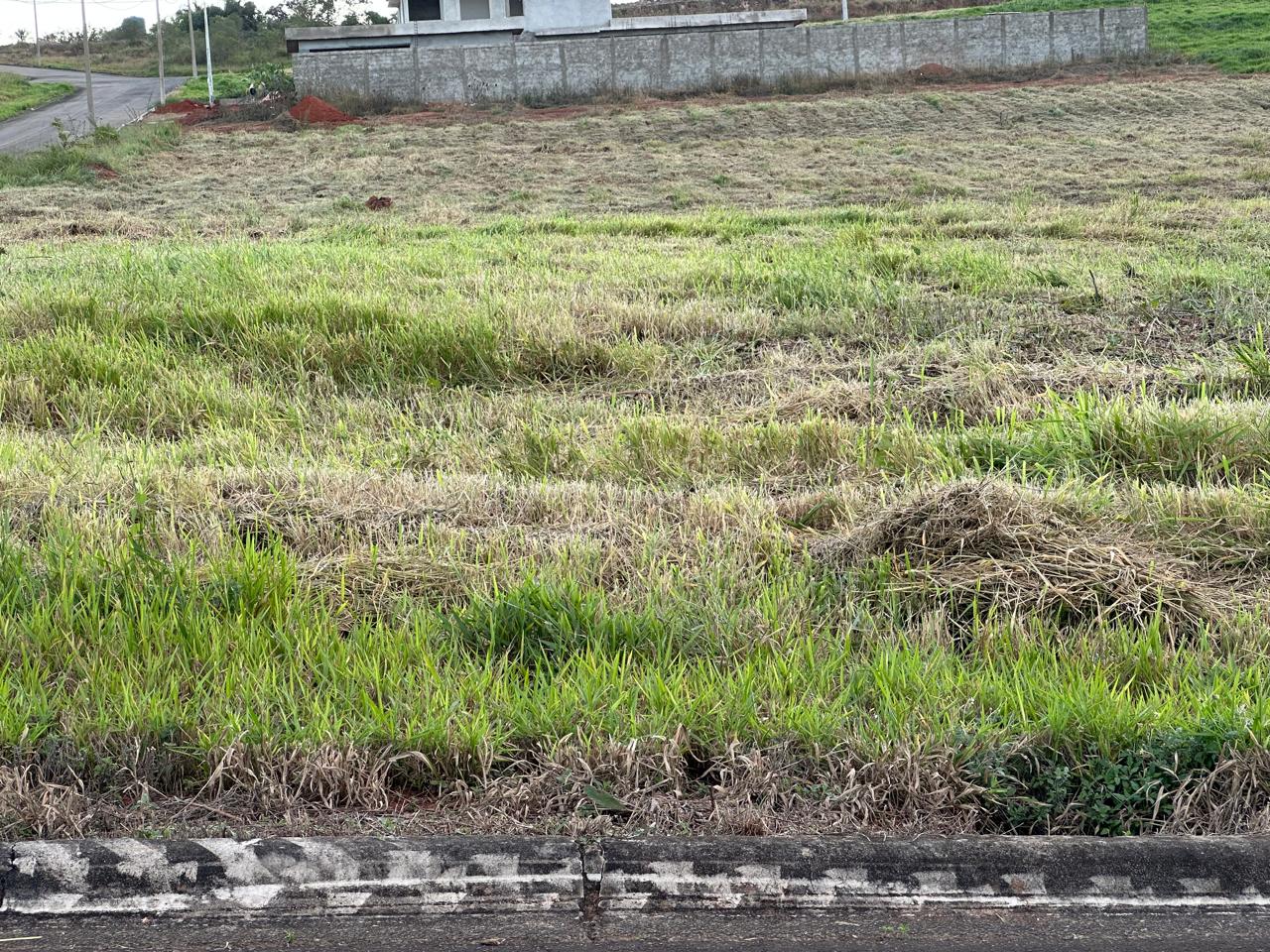 Terreno roçado próximo a residência e muro do condomínio