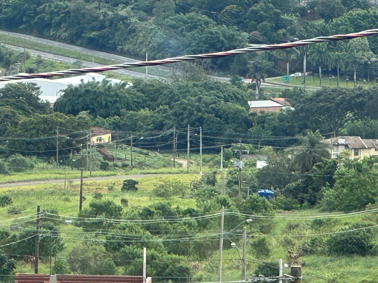 Mato alto nos lotes e áreas comuns 3