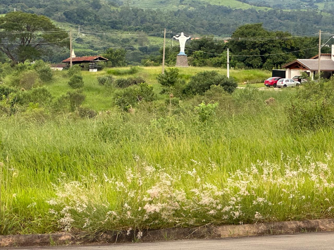 Mato alto nos lotes e áreas comuns 4