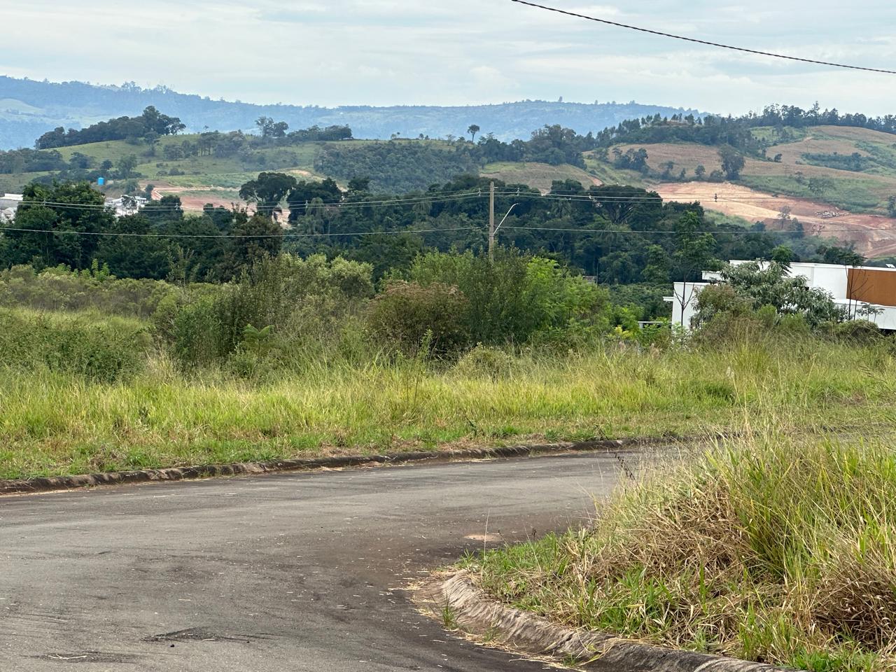 Mato alto nos lotes e áreas comuns 14