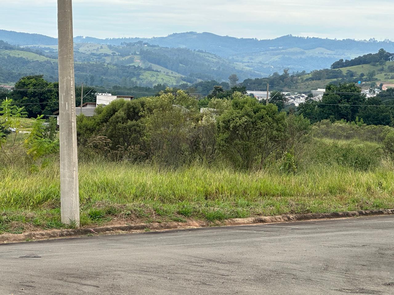Mato alto nos lotes e áreas comuns 15