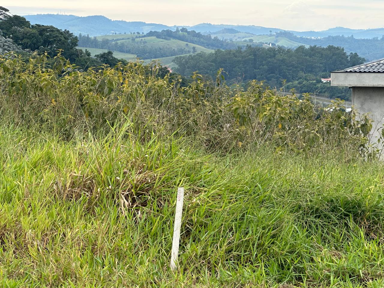 Mato alto nos lotes e áreas comuns 17