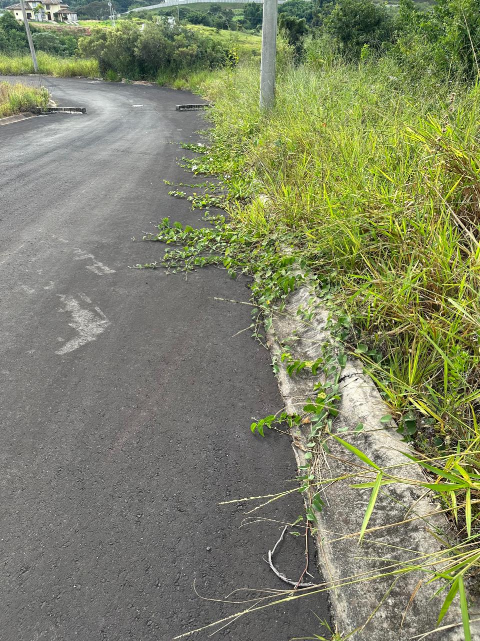Rua interna sem pavimentação 12