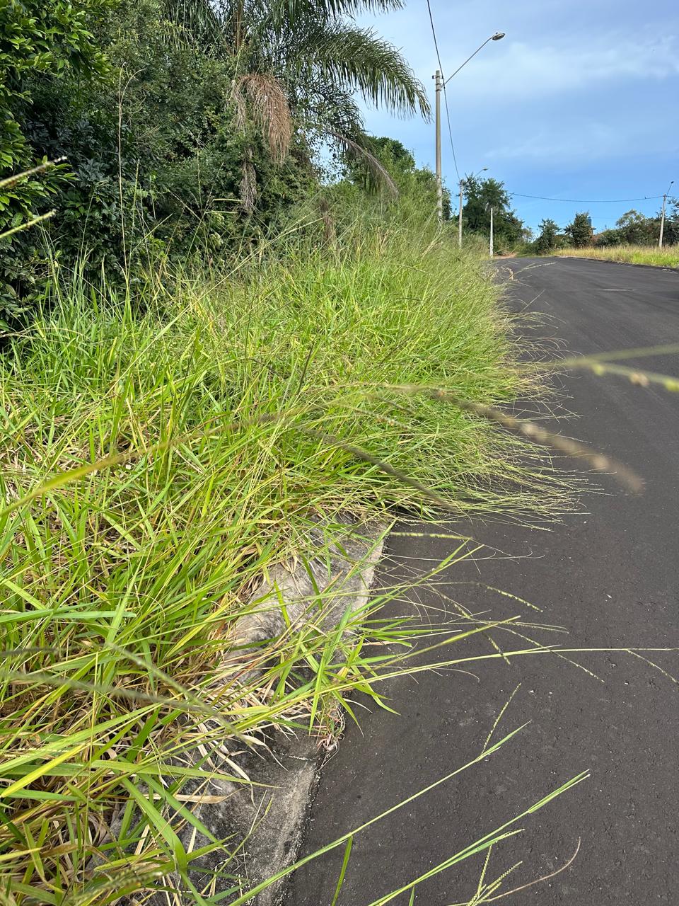 Rua interna sem pavimentação 13