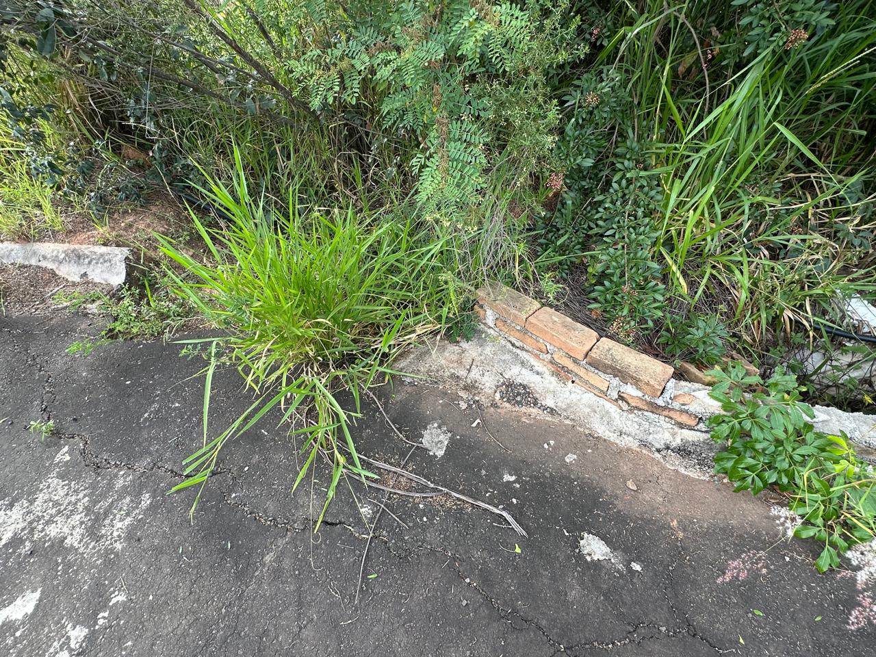 Rua interna sem pavimentação 14